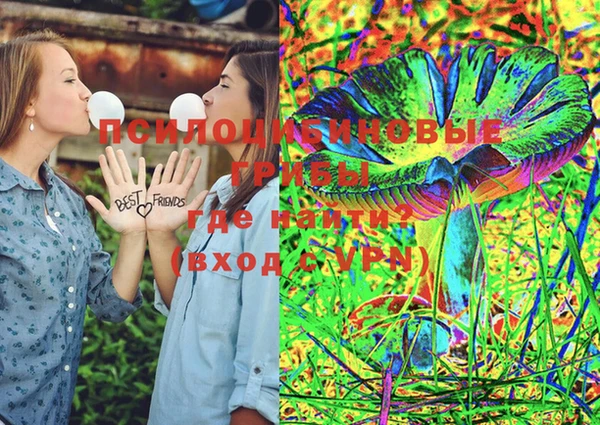 PSILOCYBIN Козельск
