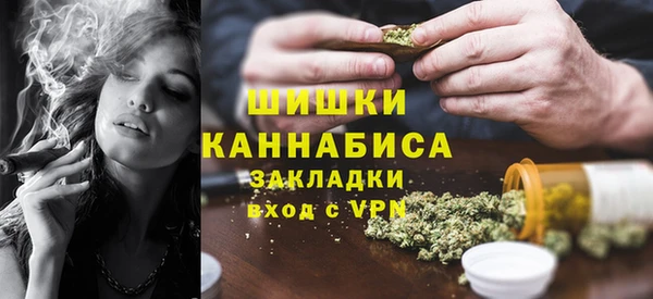 гидра Касимов
