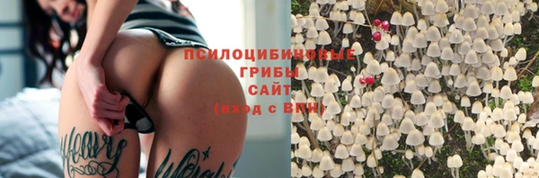 дурь Козловка