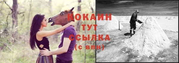 PSILOCYBIN Козельск