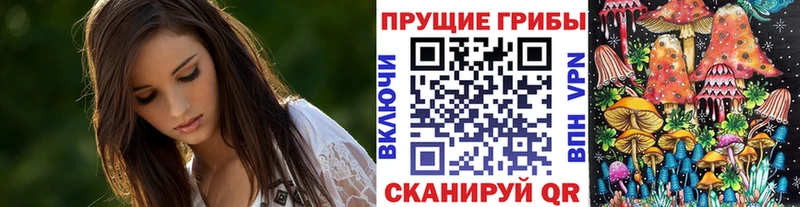 Купить закладки  Колпашево  Псилоцибиновые грибы ЛСД 